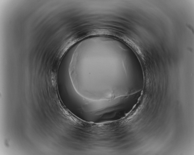 X0000097500945200802291555