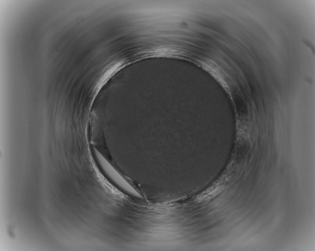 X0000097500946200802291555