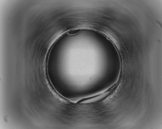 X0000097500949200802291555