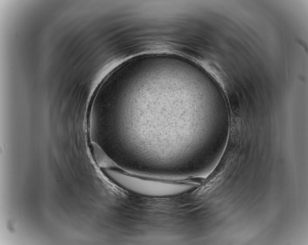 X0000097500951200802291555