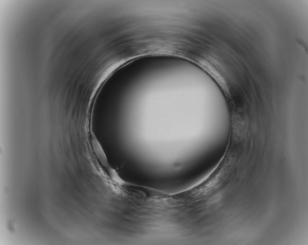 X0000097500956200802291555