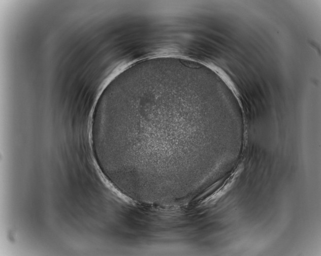 X0000097500957200802291555