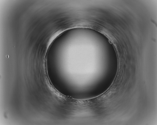 X0000097500960200802291555