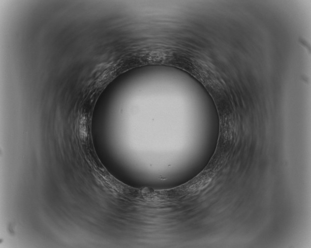X0000097500962200802291554