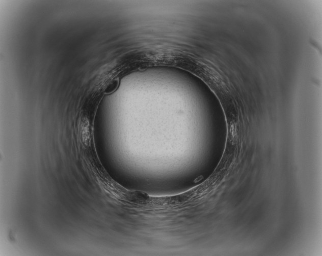 X0000097500963200802291554