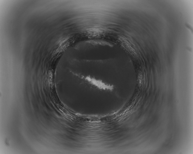 X0000097500964200802291554