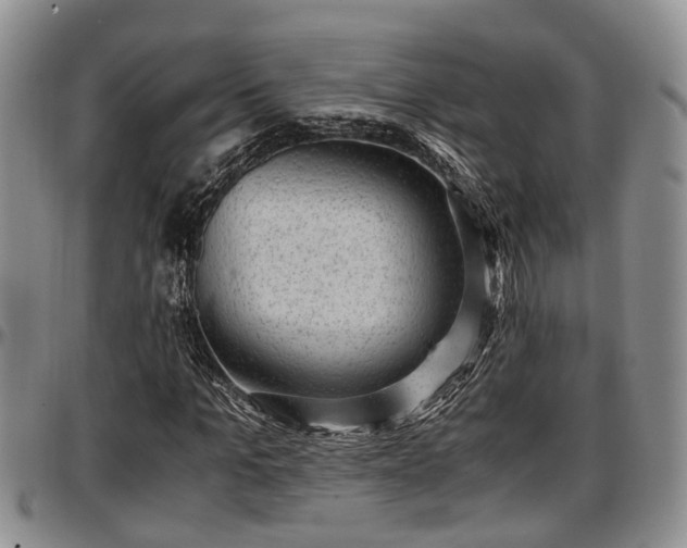X0000097500965200802291554