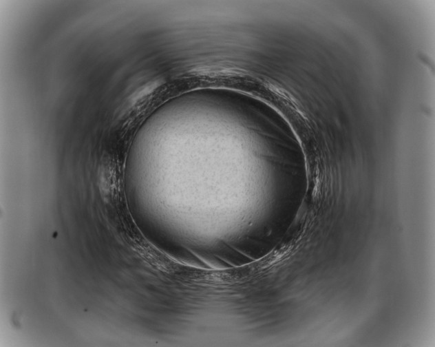 X0000097500966200802291554