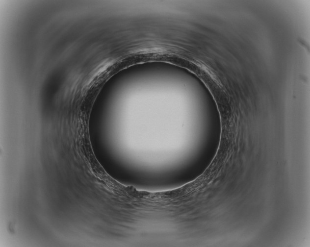 X0000097500967200802291554