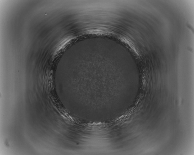 X0000097500968200802291554