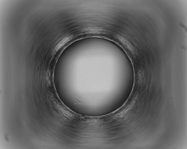 X0000097500970200802291554