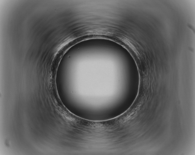 X0000097500971200802291554