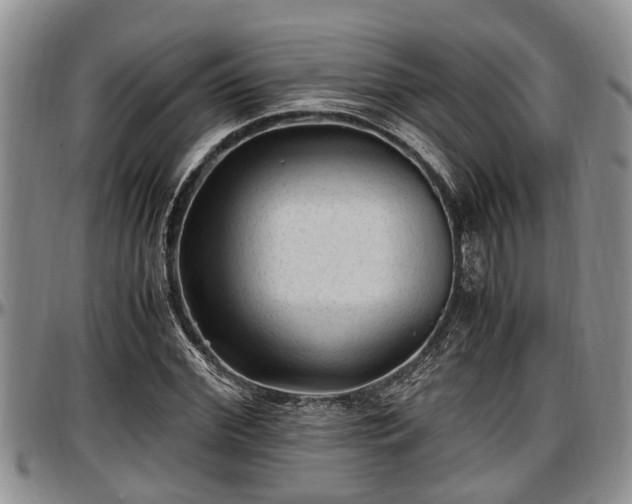 X0000097500972200802291554