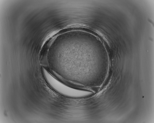 X0000097500973200802291554