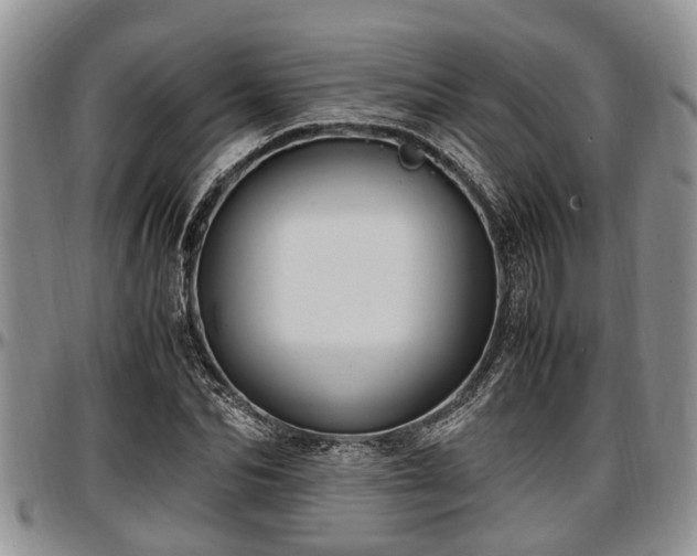 X0000097500974200802291554