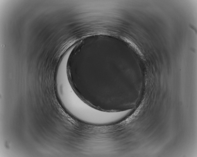 X0000097500977200802291554