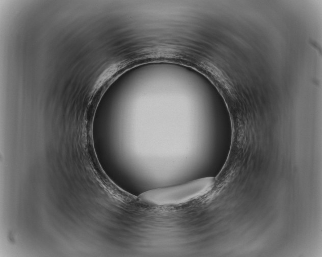 X0000097500978200802291554