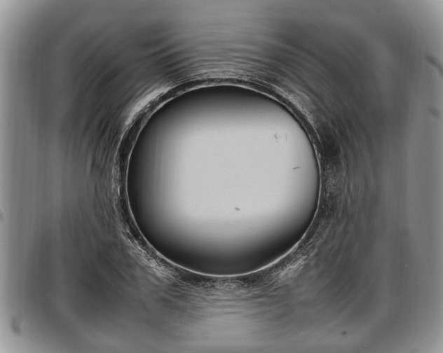 X0000097500979200802291554