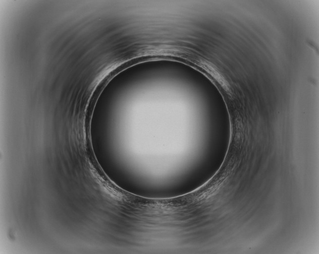 X0000097500980200802291554