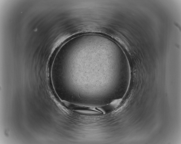 X0000097500981200802291554