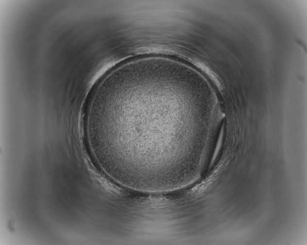 X0000097500983200802291554