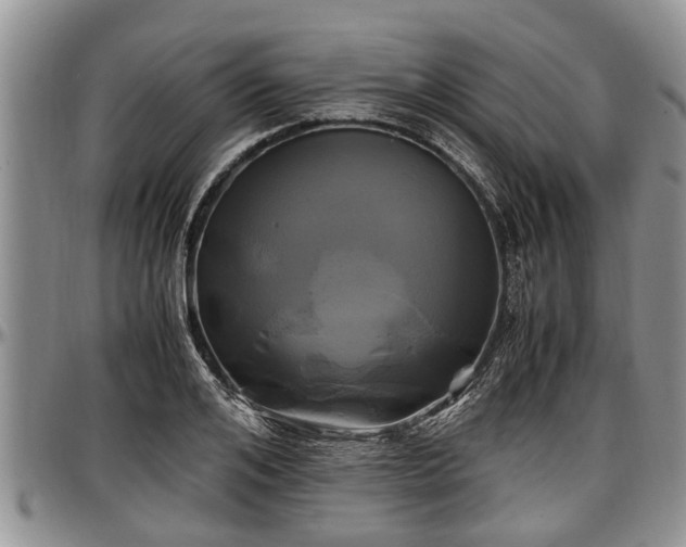 X0000097500984200802291554