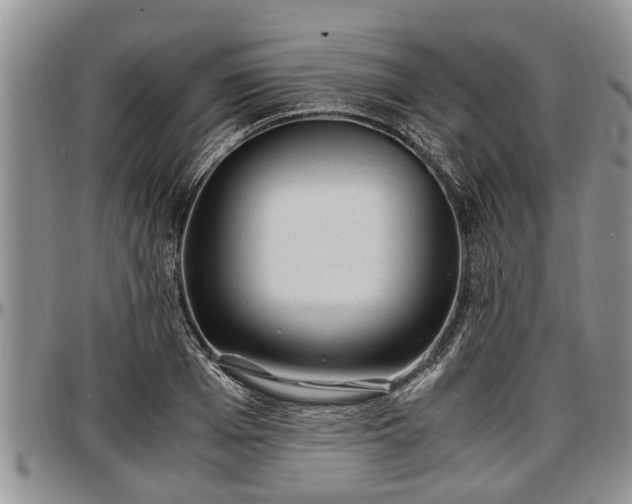X0000097500985200802291554
