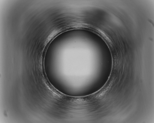 X0000097500986200802291554