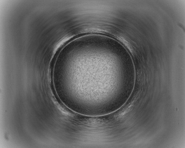 X0000097500987200802291554