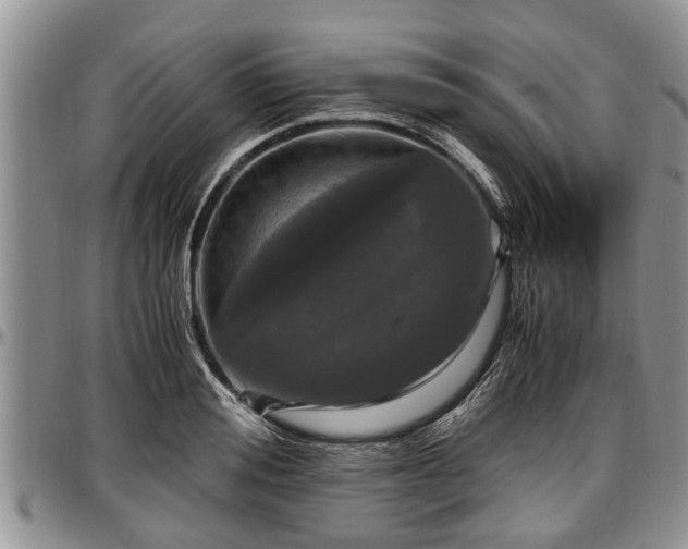 X0000097500988200802291554