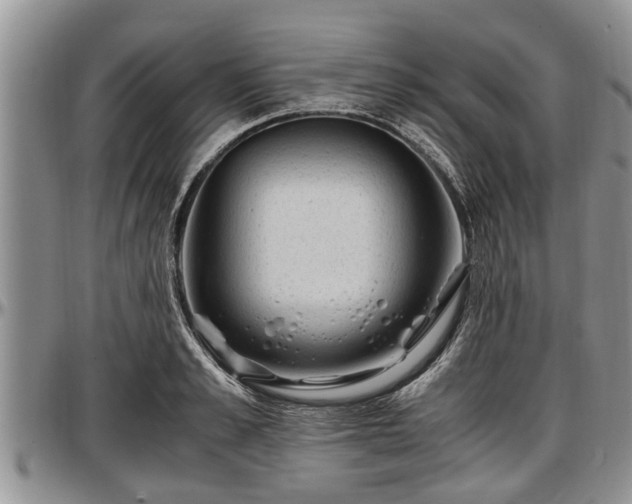 X0000097500989200802291554