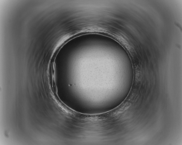 X0000097500990200802291554