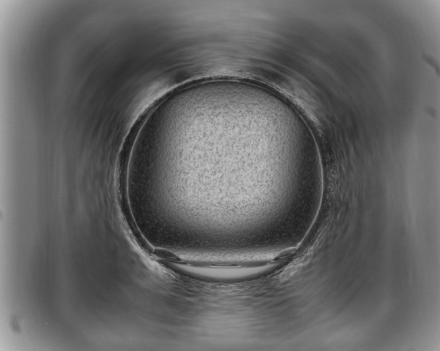 X0000097500991200802291554
