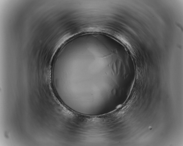 X0000097500992200802291554