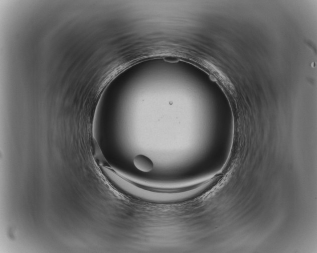 X0000097500993200802291554
