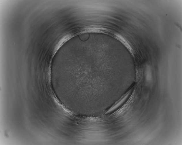 X0000097500994200802291554