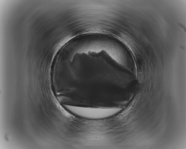 X0000097500995200802291554