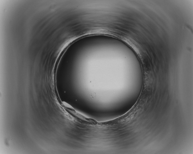 X0000097500996200802291554
