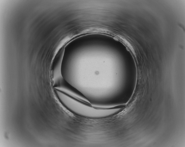 X0000097500997200802291554