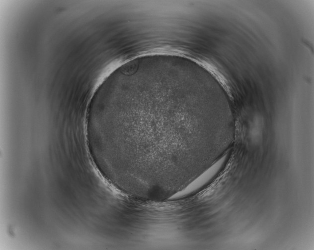X0000097500998200802291554