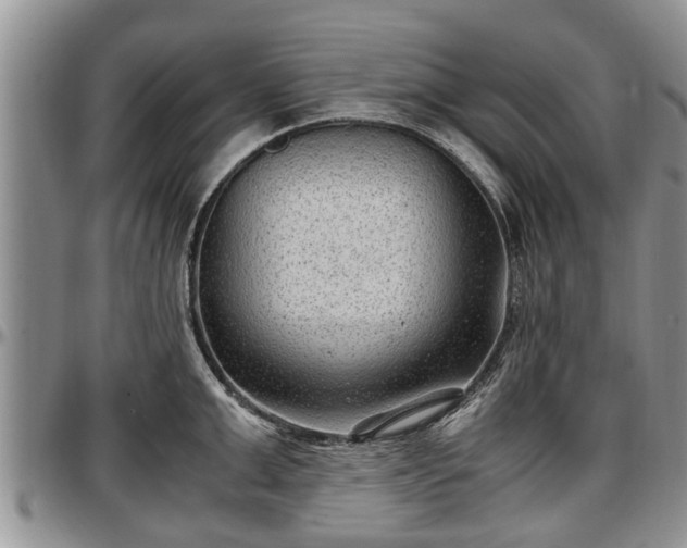 X0000097500999200802291554