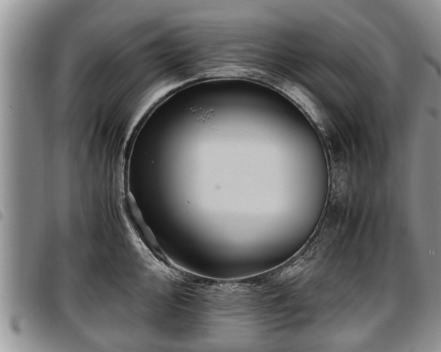 X0000097501000200802291554