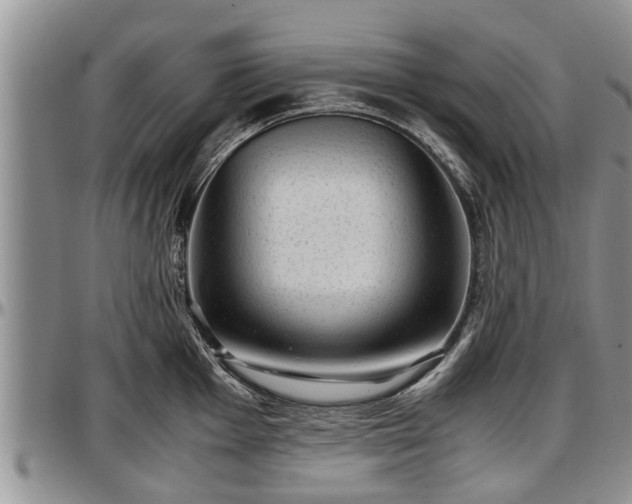 X0000097501001200802291554
