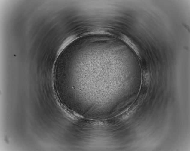 X0000097501002200802291554