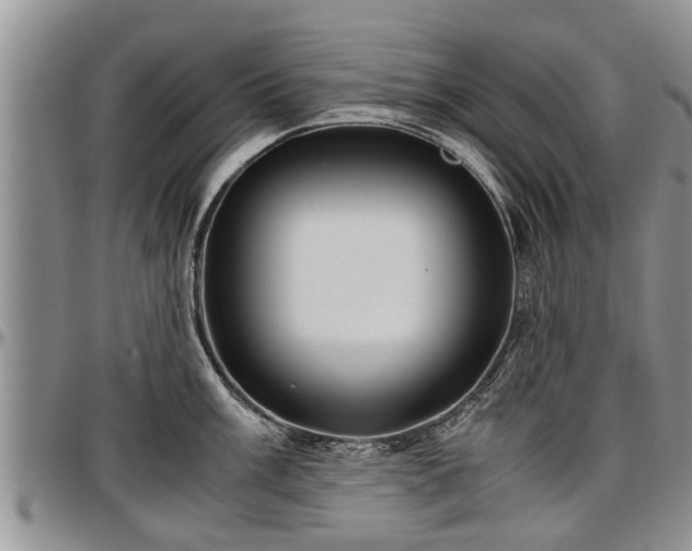 X0000097501003200802291554