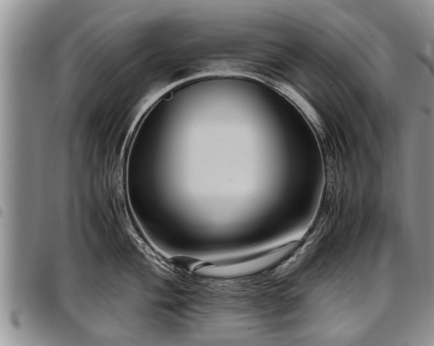 X0000097501004200802291554