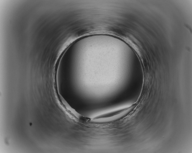 X0000097501005200802291554