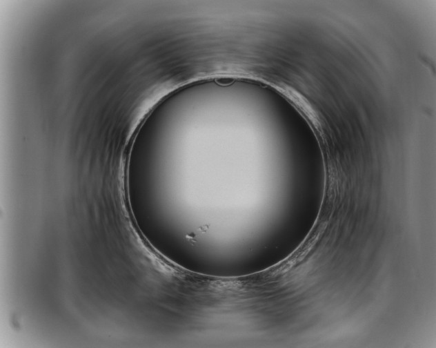 X0000097501006200802291554