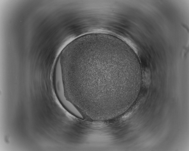 X0000097501007200802291554
