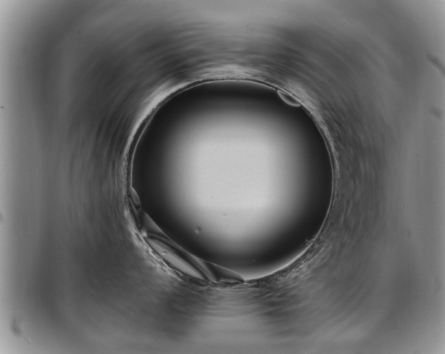 X0000097501008200802291554